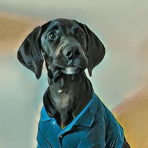 Meet your Posher, Emma